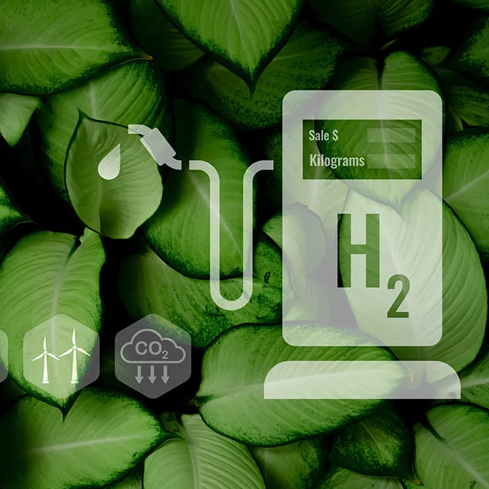 Biofuels