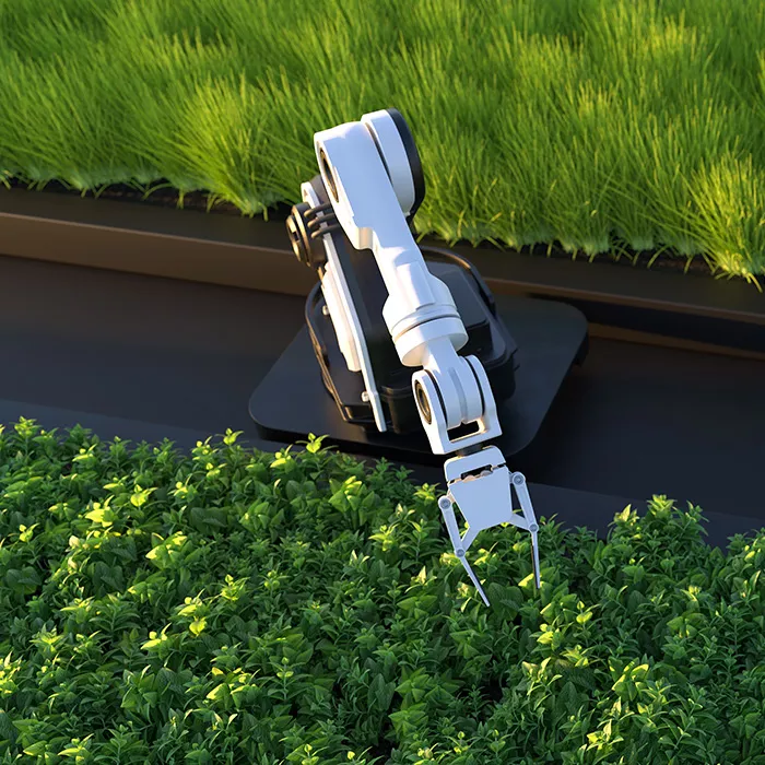 Skid Mounted Plants